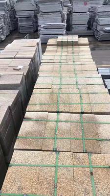 山东黄金麻厂家